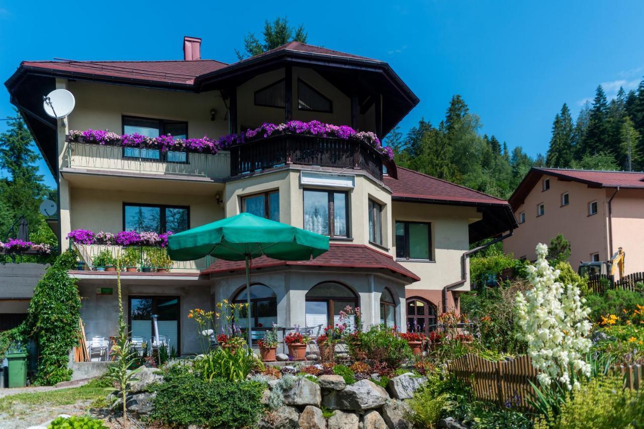 Apartamenty Krystyna ヴィスワ エクステリア 写真