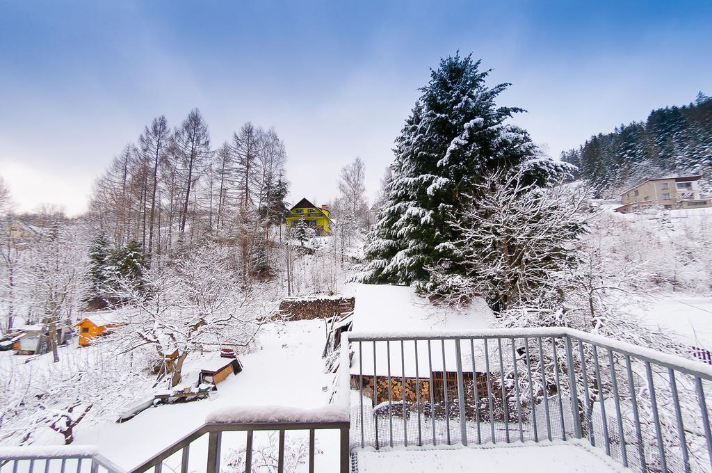 Apartamenty Krystyna ヴィスワ エクステリア 写真
