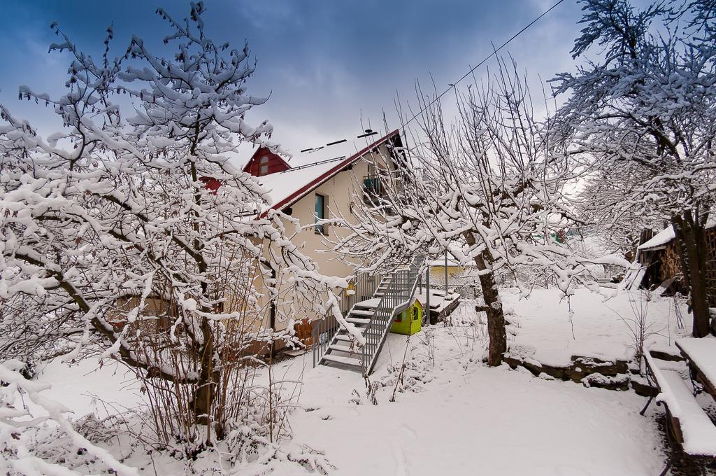 Apartamenty Krystyna ヴィスワ エクステリア 写真